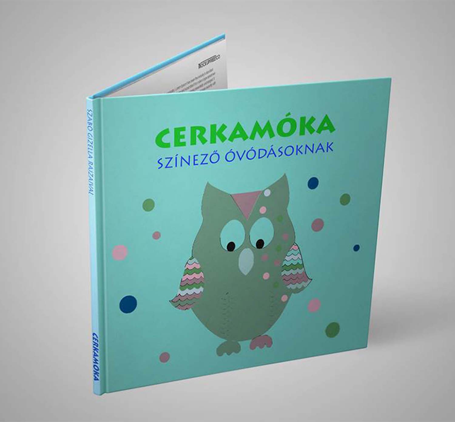 Börzsei Emese grafikus képzés végén leadott portfólió 