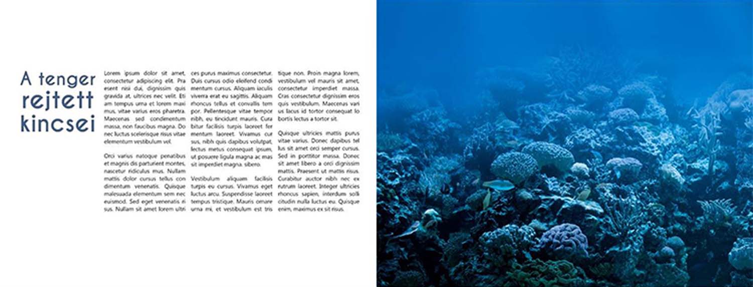 Fodor Ada Luca grafikus képzés végén leadott portfólió 