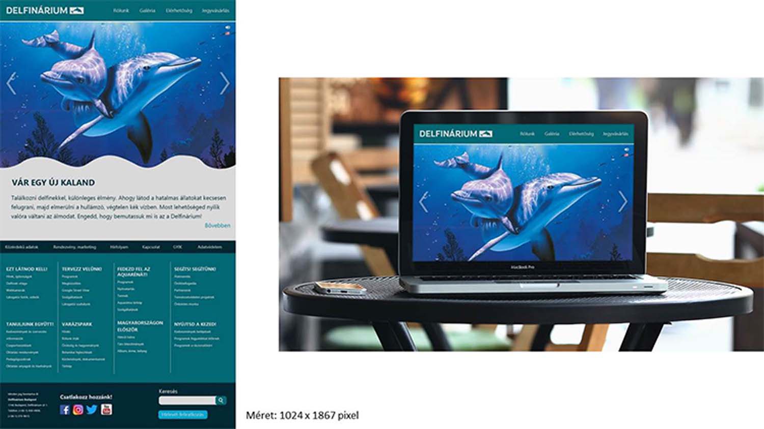 Fodor Ada Luca grafikus képzés végén leadott portfólió 