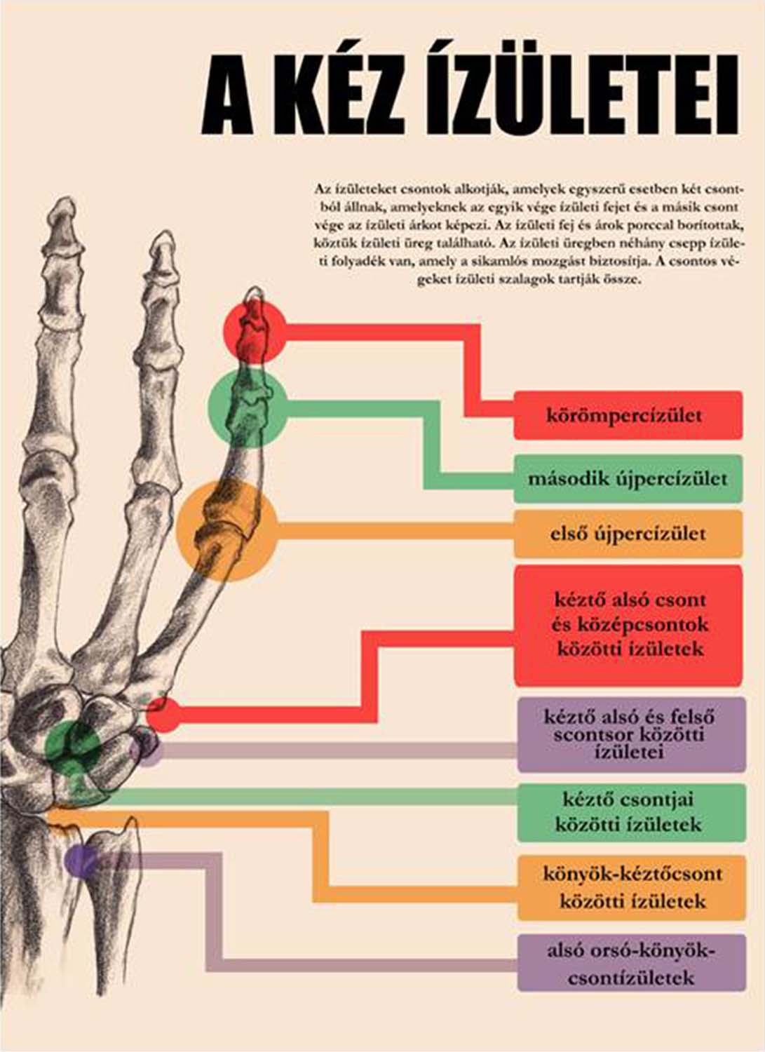 Kabai Dóra grafikus képzés végén leadott portfólió 