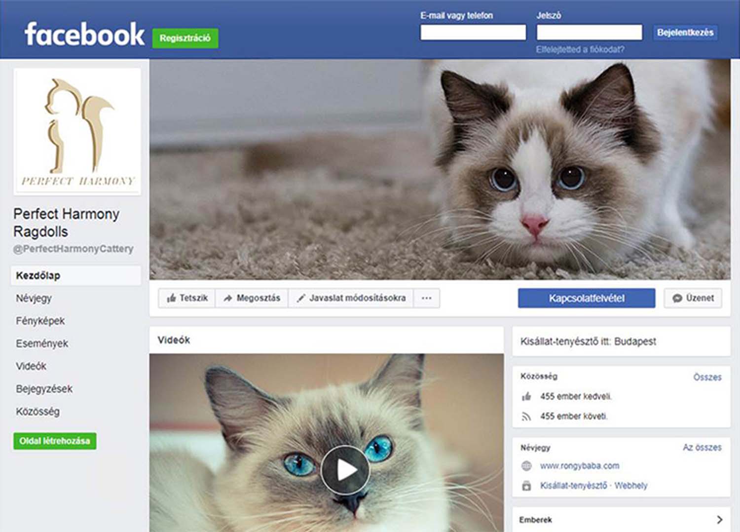 Kabai Dóra grafikus képzés végén leadott vizsgaremek 