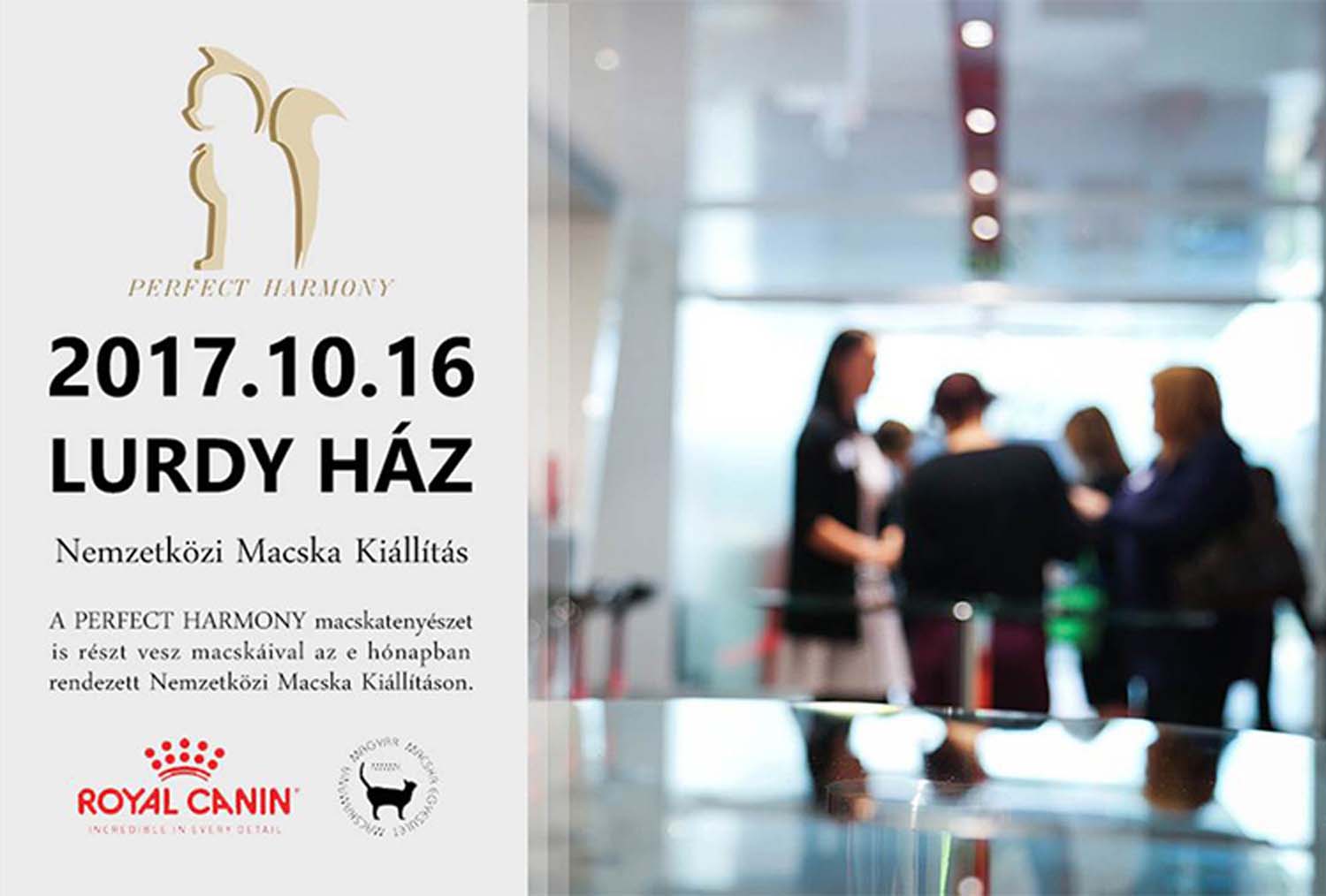 Kabai Dóra grafikus képzés végén leadott vizsgaremek 