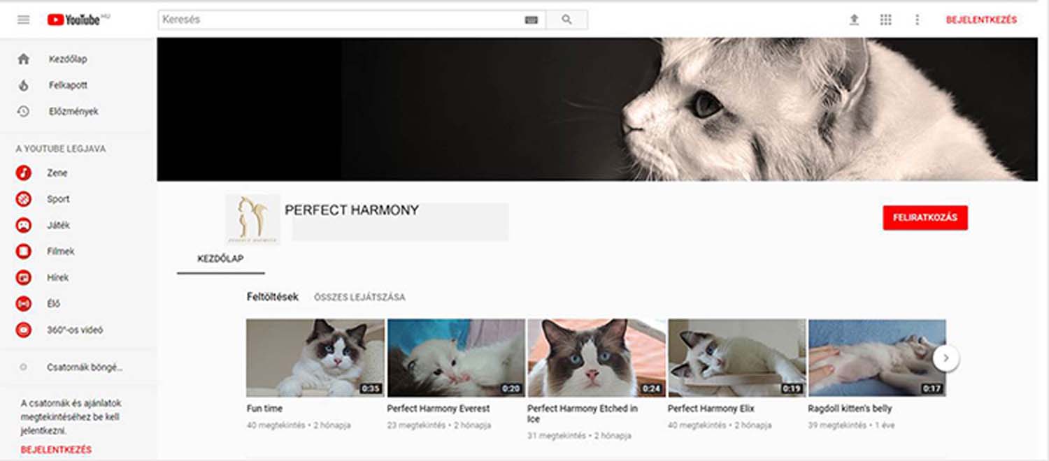 Kabai Dóra grafikus képzés végén leadott vizsgaremek 