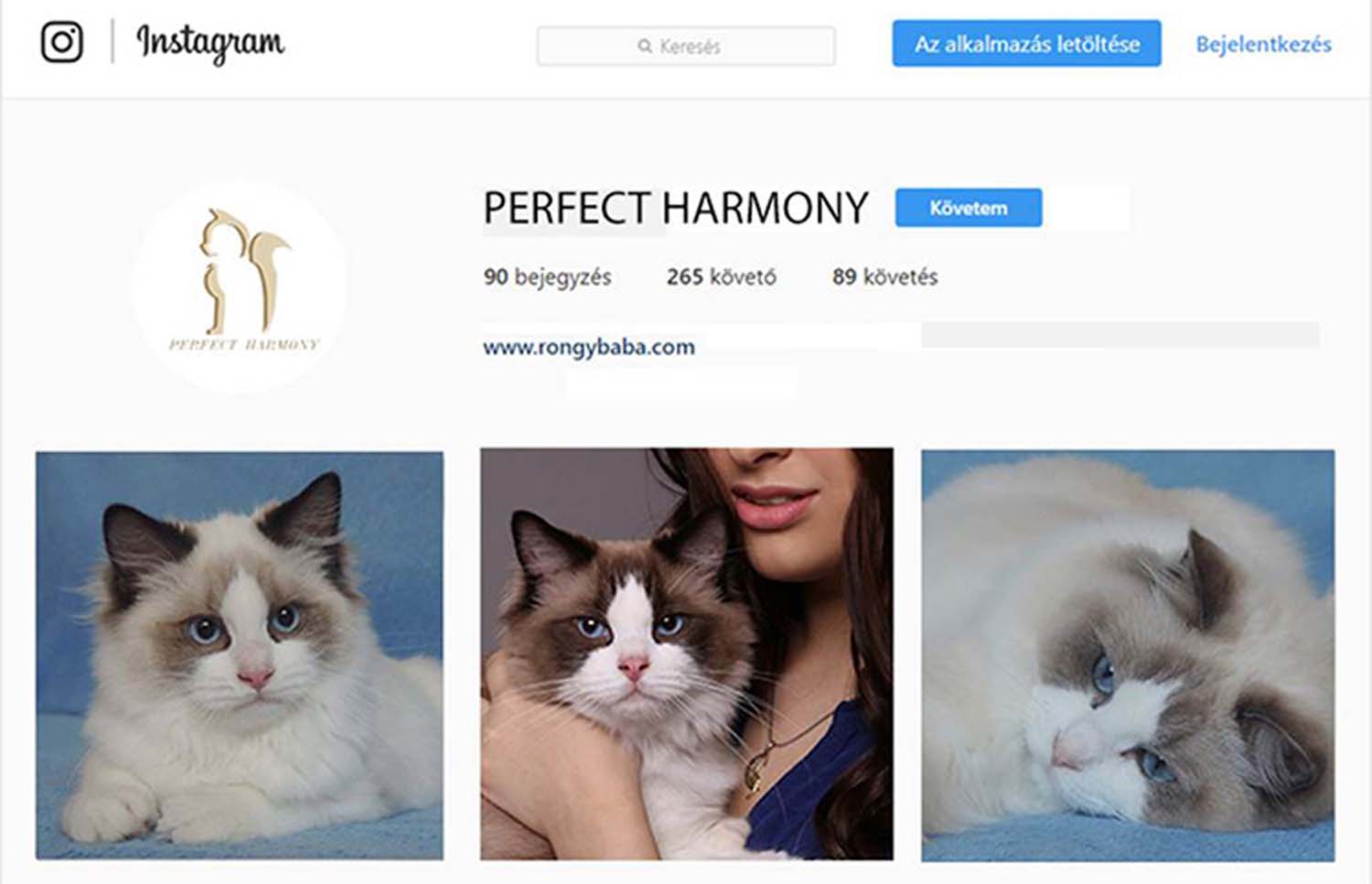 Kabai Dóra grafikus képzés végén leadott vizsgaremek 