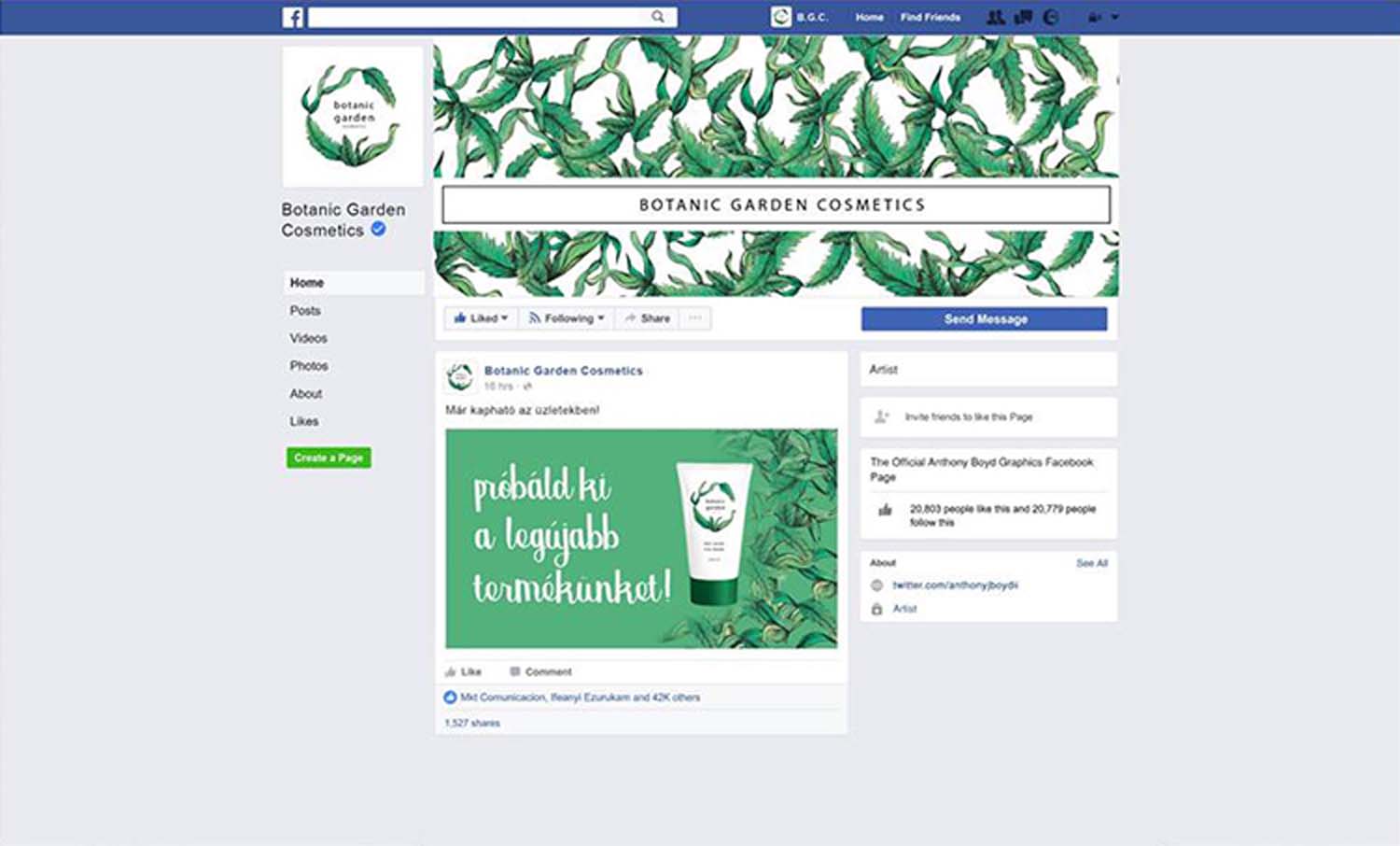 Kerper Anna grafikus képzés végén leadott vizsgaremek 