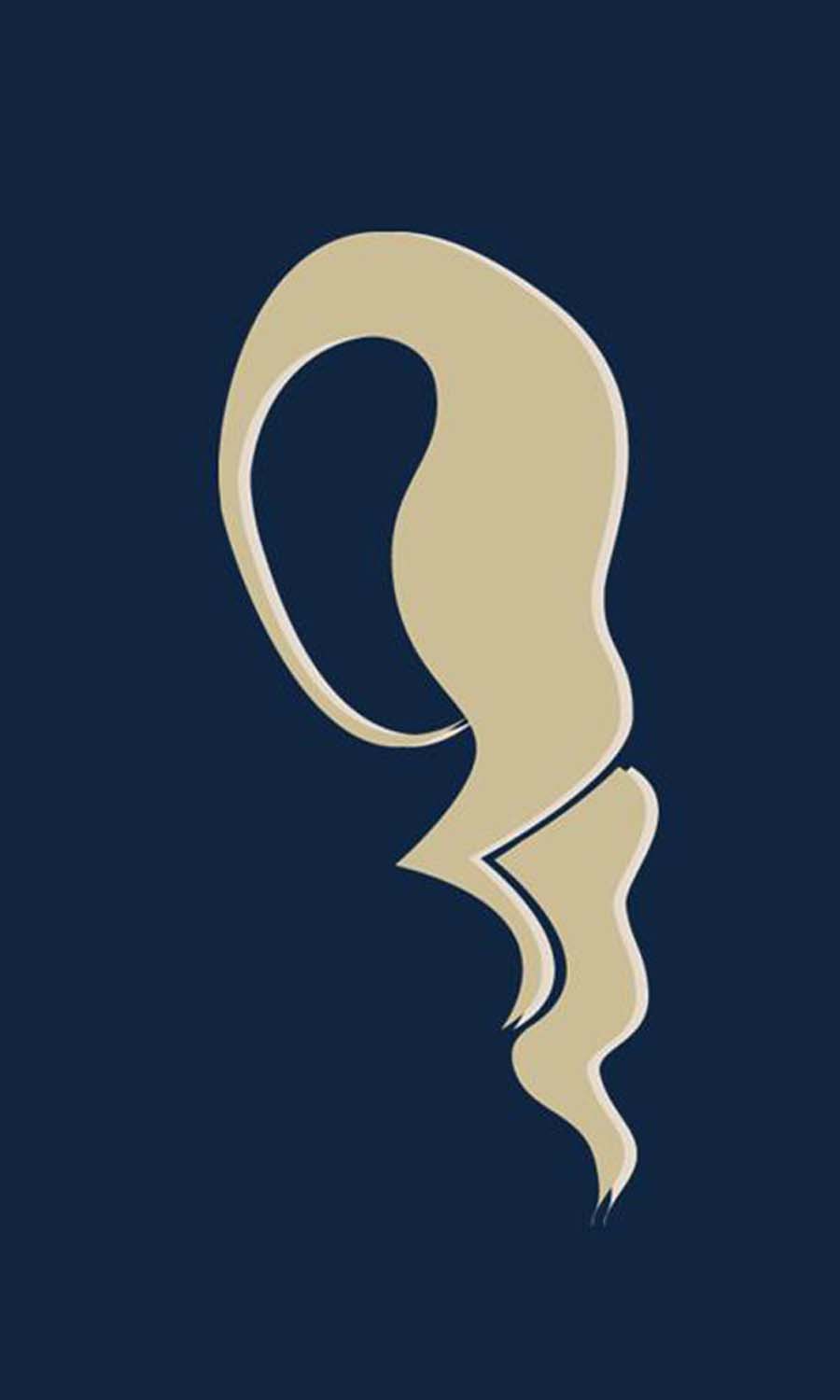 Kováts Tímea Athina grafikus képzés végén leadott vizsgaremek 