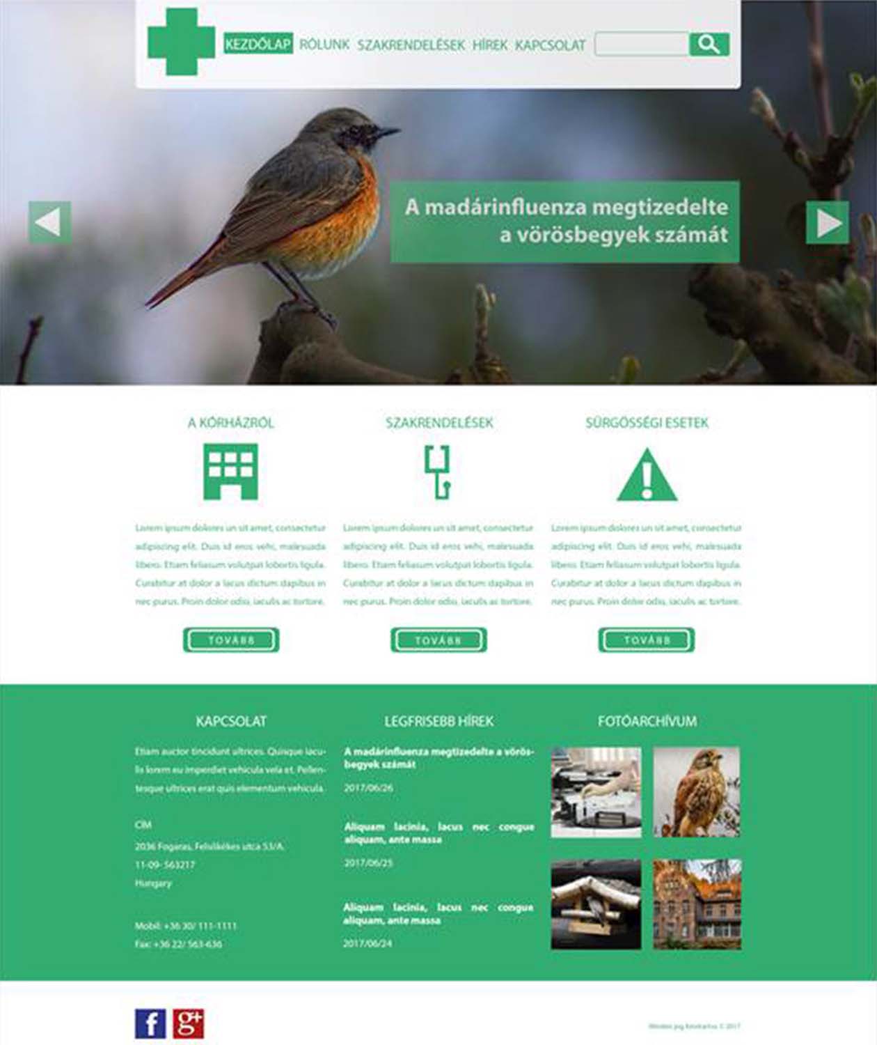 GNémeth Ákos grafikus képzés végén leadott portfólió 