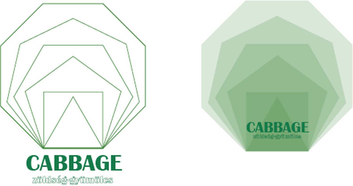 Kele Barbara grafikus képzés végén leadott portfólió 