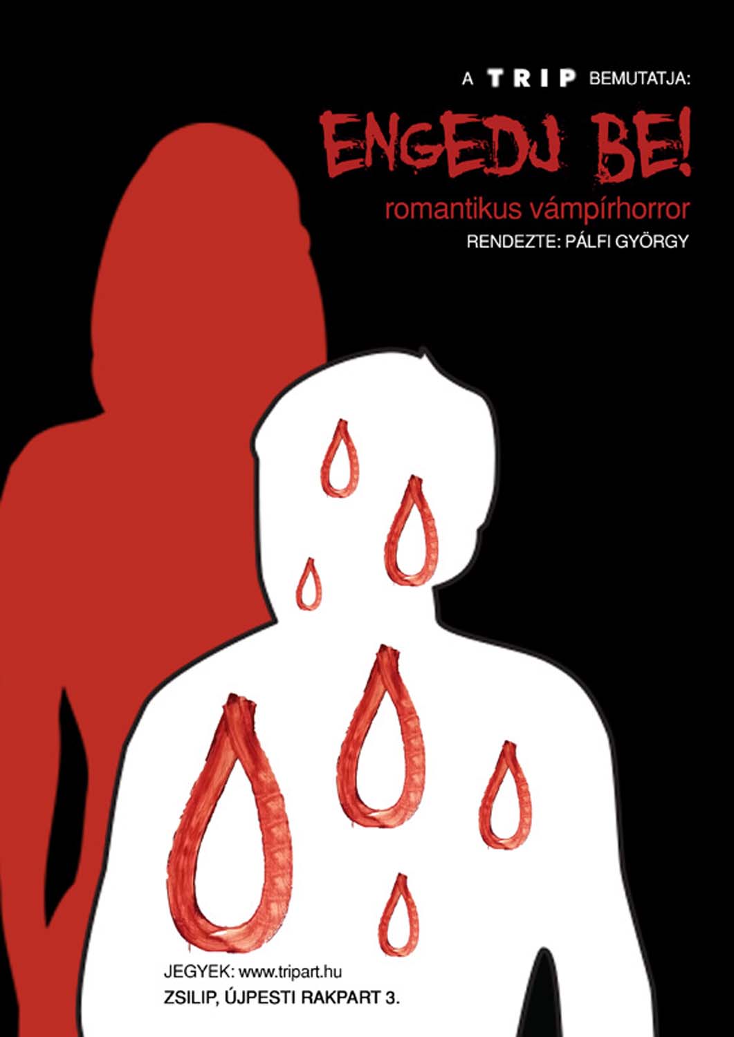 Kele Barbara grafikus képzés végén leadott portfólió 