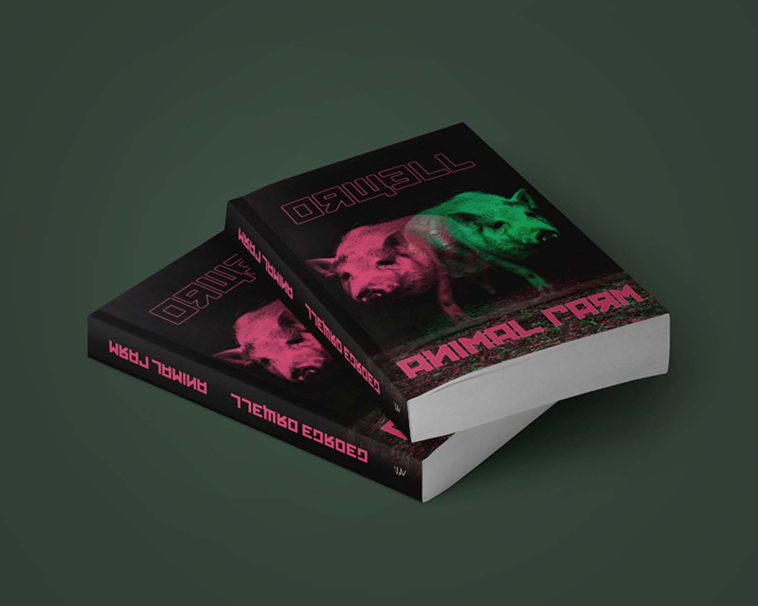 Kele Barbara grafikus képzés végén leadott portfólió 