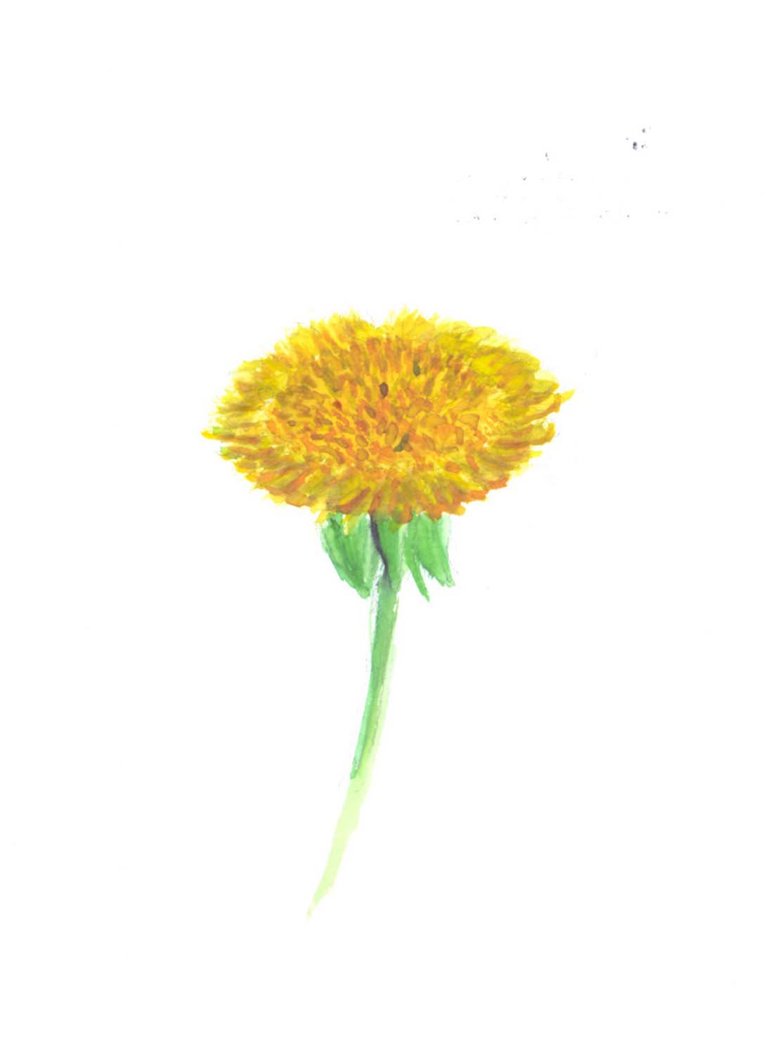 Forgács Levente grafikus képzés végén leadott portfólió 