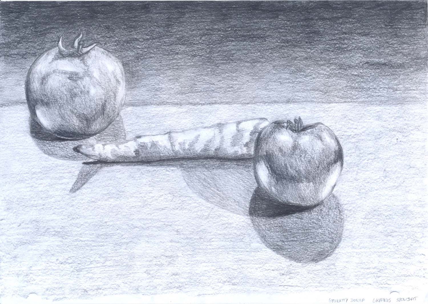 Gyurkity Dorina grafikus képzés végén leadott portfólió 