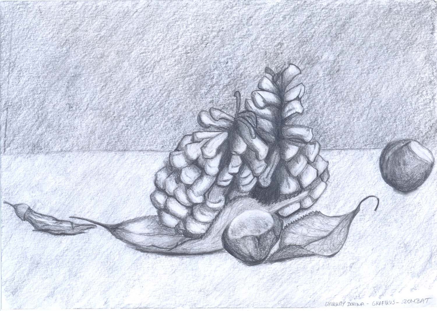 Gyurkity Dorina grafikus képzés végén leadott portfólió 