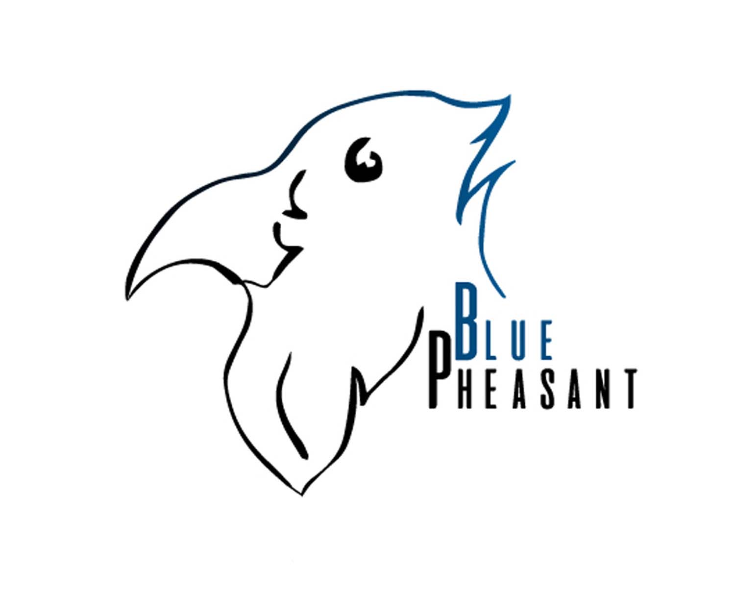 Gyurkity Dorina grafikus képzés végén leadott portfólió 