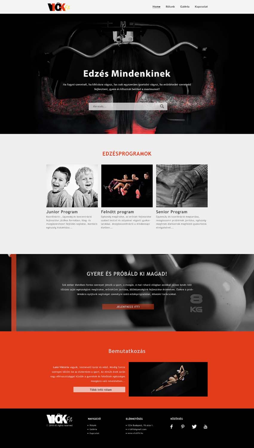 Kifut Kriszta grafikus képzés végén leadott vizsgaremek 