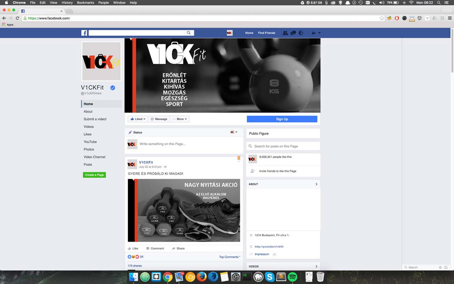 Kifut Kriszta grafikus képzés végén leadott vizsgaremek 