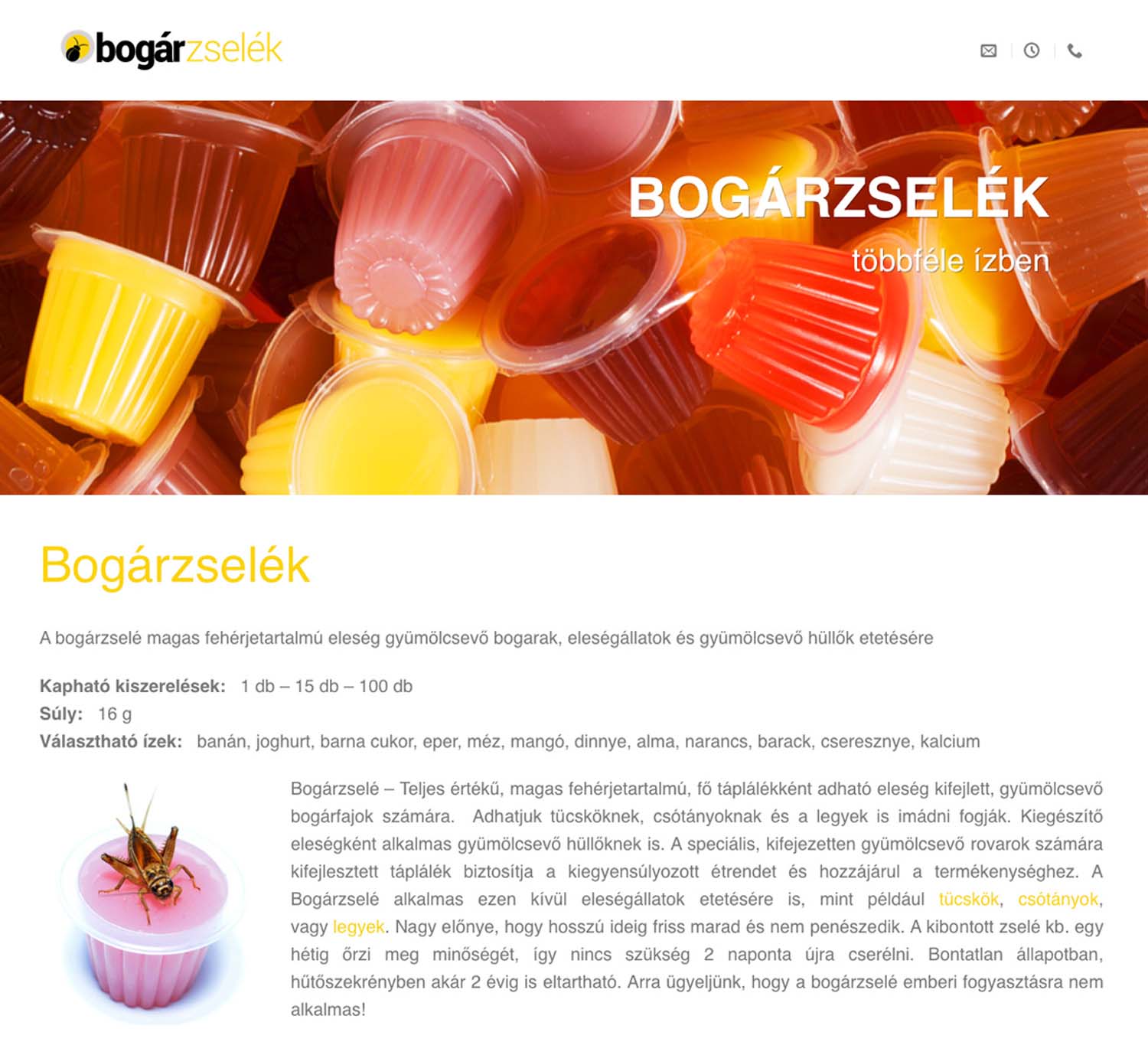 László Zsuzsanna grafikus képzés végén leadott portfólió 