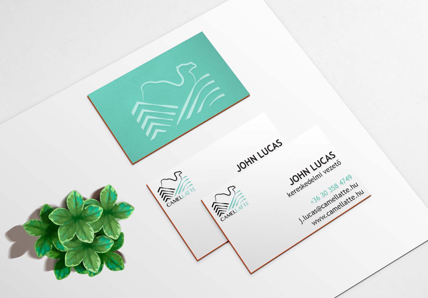 László Zsuzsanna grafikus képzés végén leadott vizsgaremek 