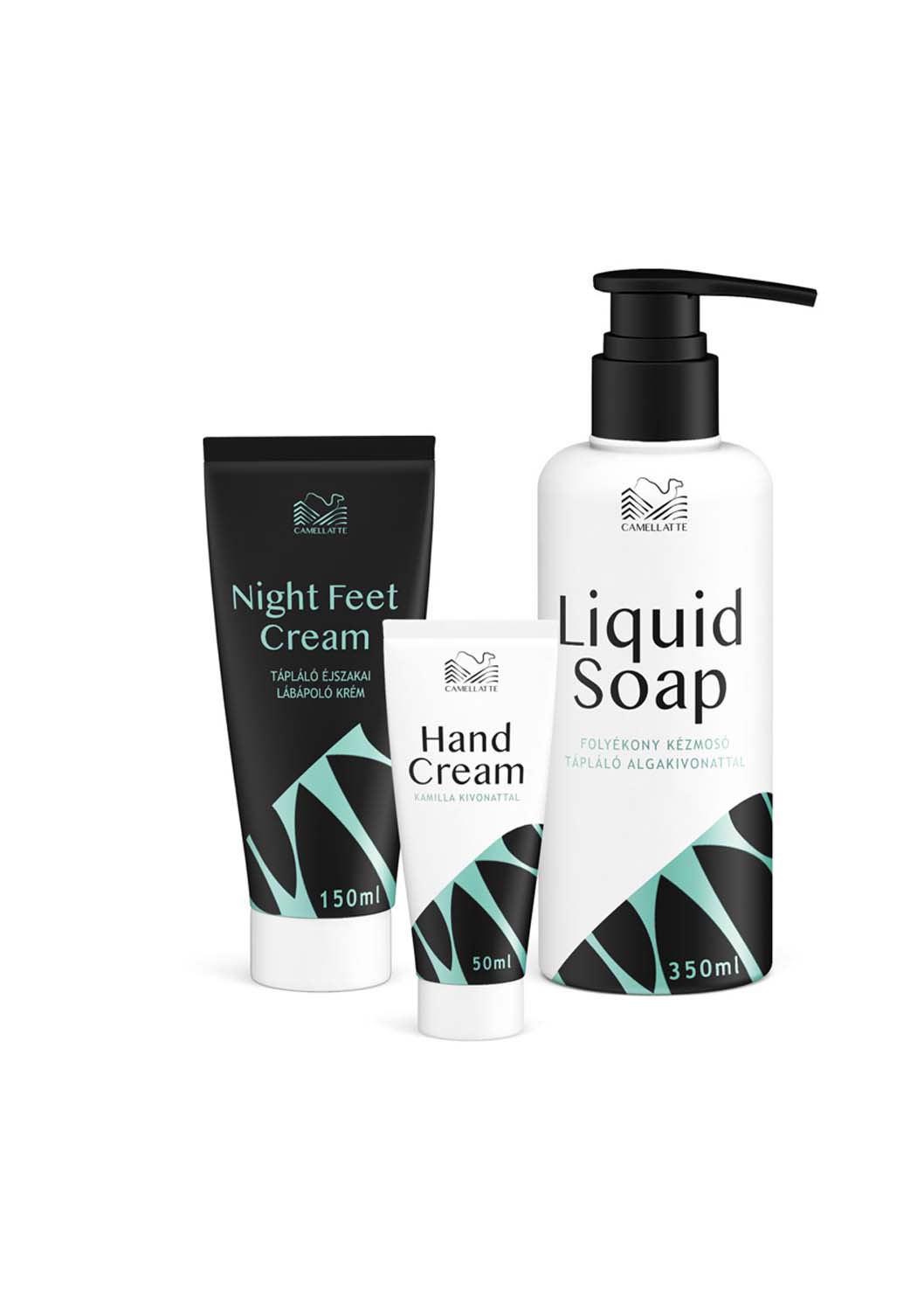 László Zsuzsanna grafikus képzés végén leadott vizsgaremek 