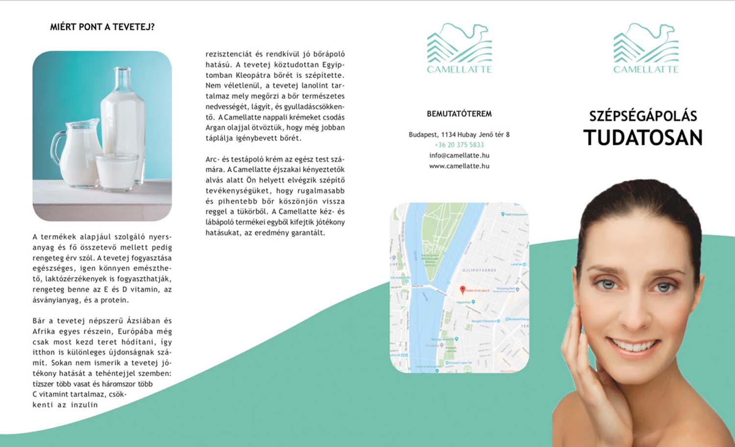 László Zsuzsanna grafikus képzés végén leadott vizsgaremek 