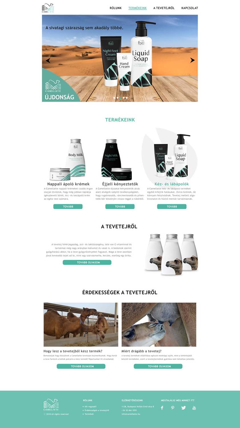 László Zsuzsanna grafikus képzés végén leadott vizsgaremek 