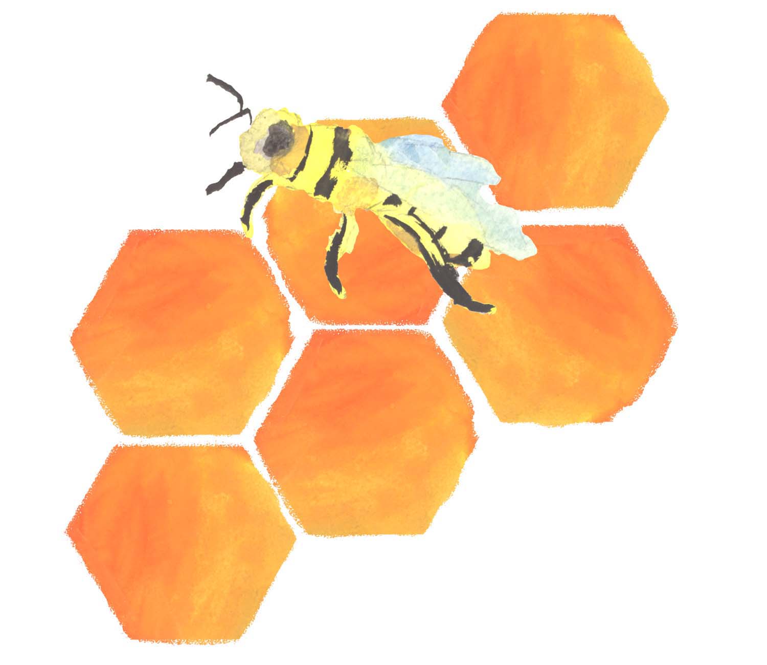 Baranyai György grafikus képzés végén leadott portfólió 