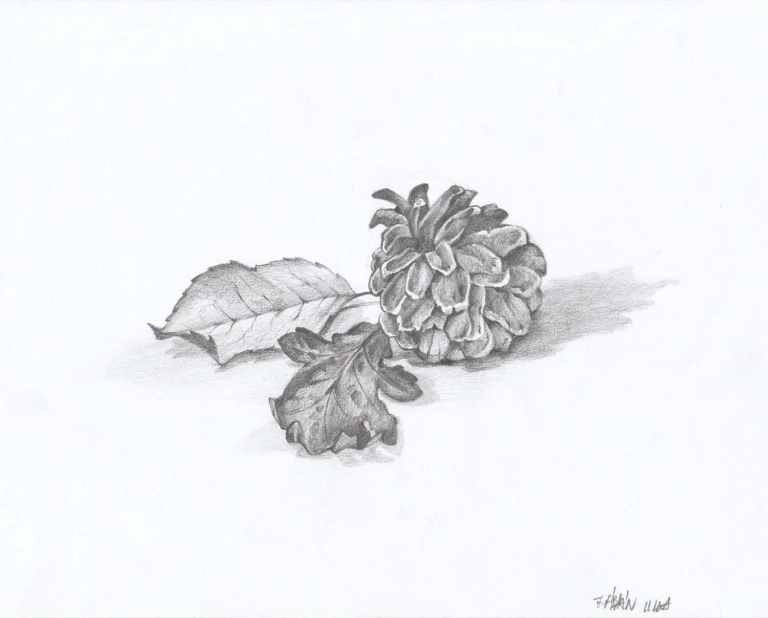 Fábián Lilla grafikus képzés végén leadott portfólió 