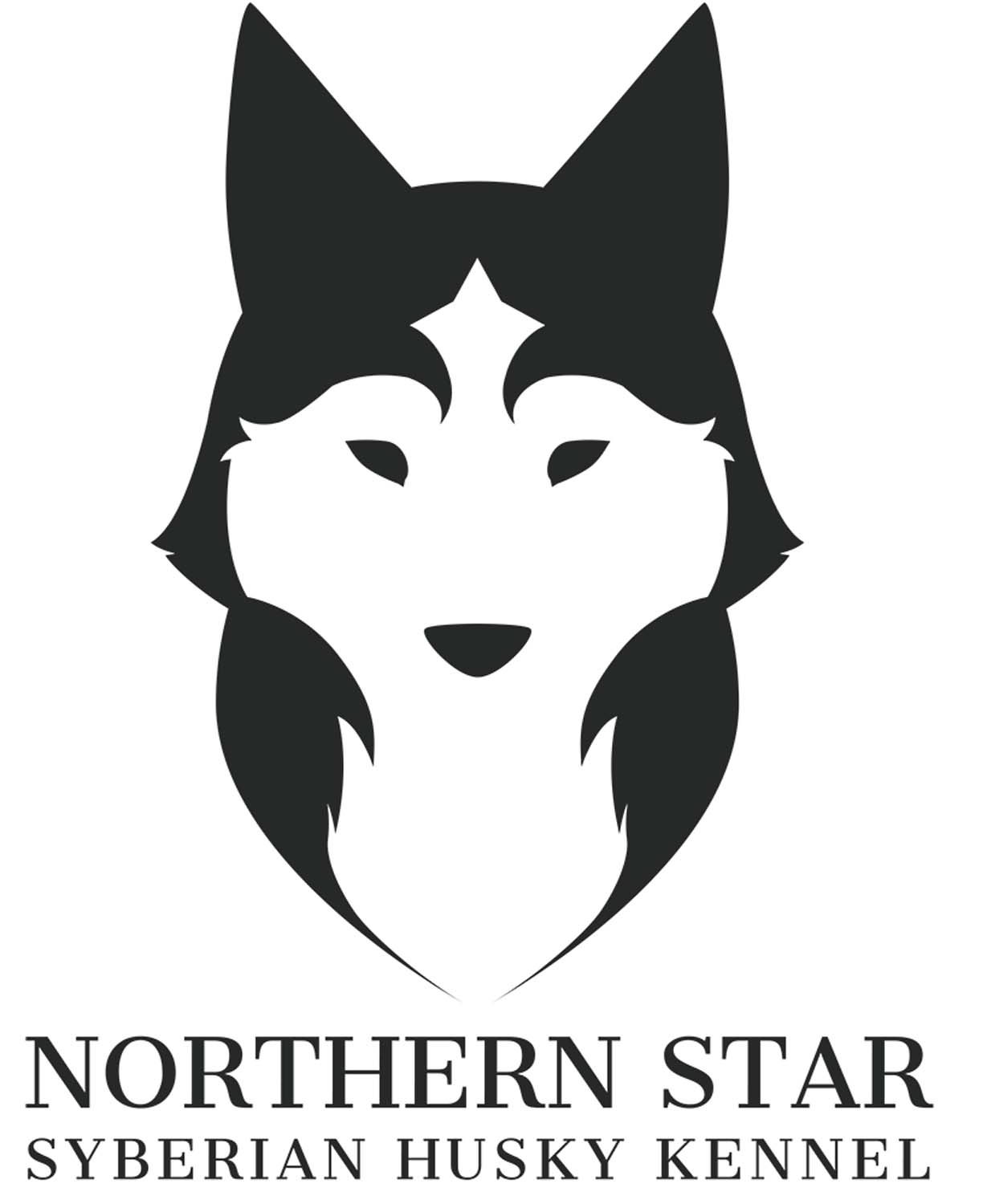 Fábián Lilla grafikus képzés végén leadott portfólió 