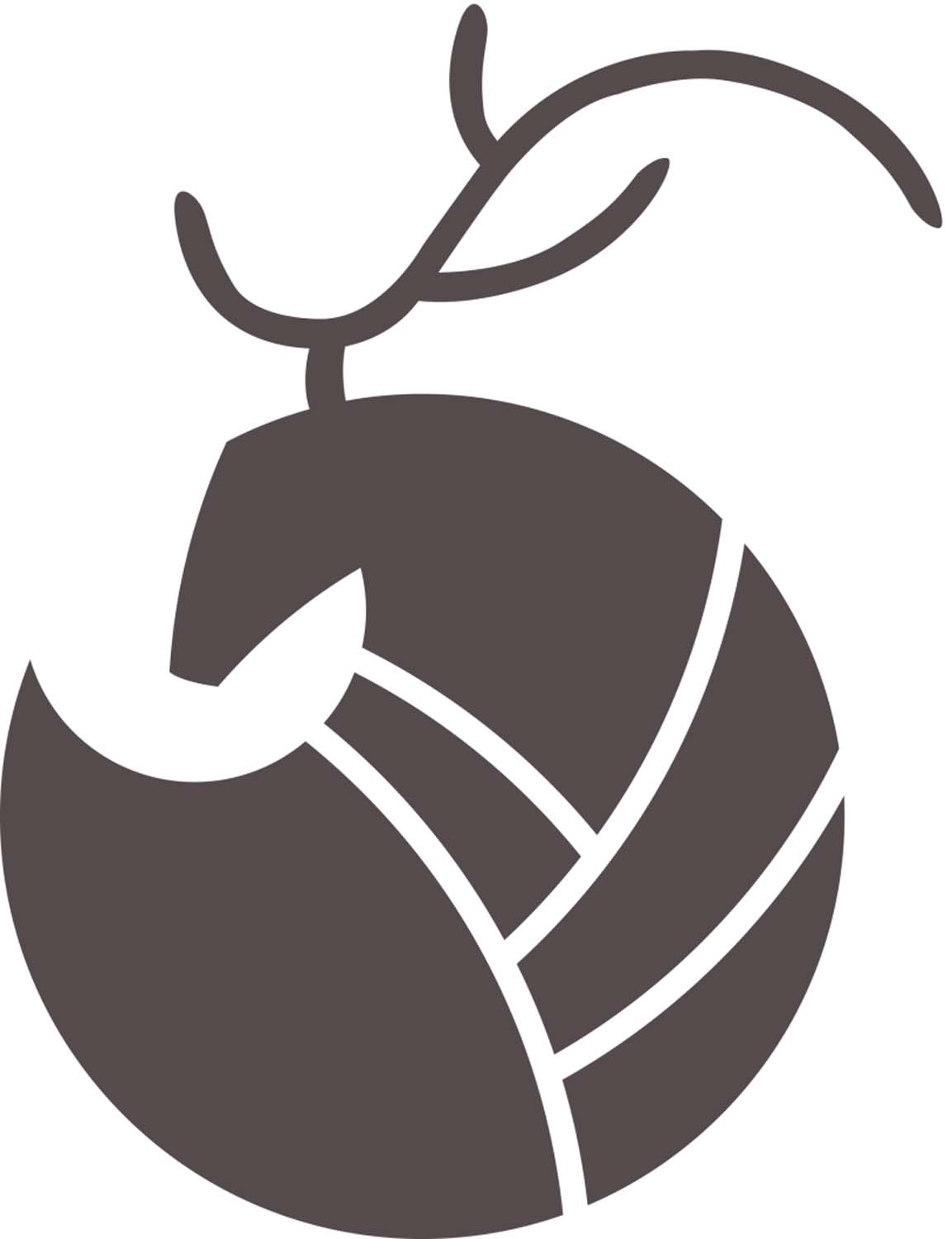 Fábián Lilla grafikus képzés végén leadott portfólió 