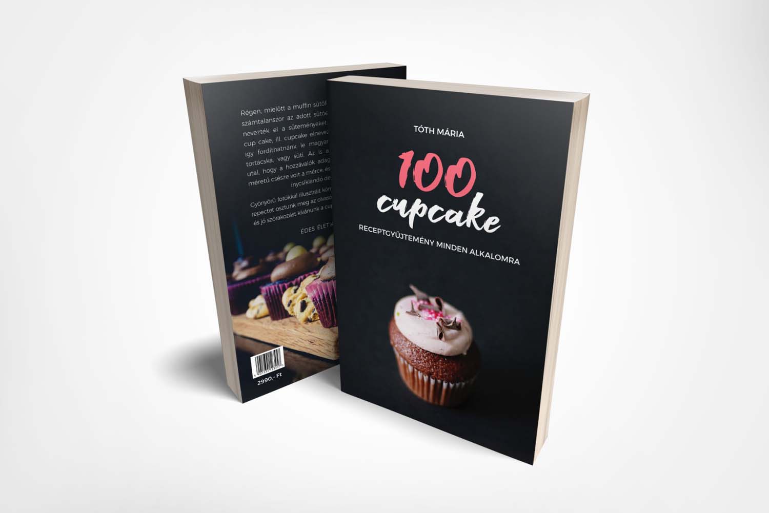 Fábián Lilla grafikus képzés végén leadott portfólió 