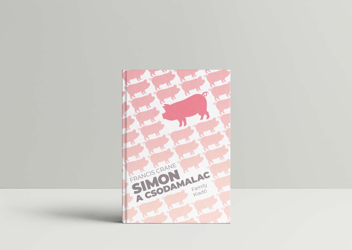 Fábián Lilla grafikus képzés végén leadott portfólió 