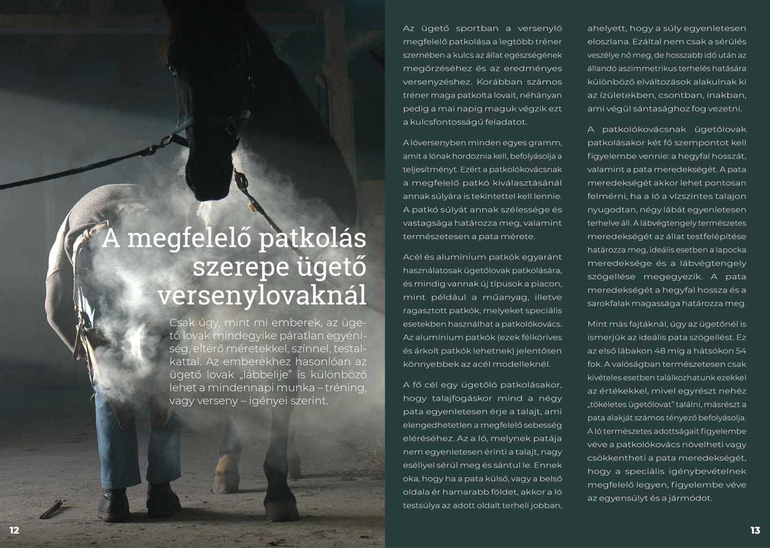 Fábián Lilla grafikus képzés végén leadott portfólió 