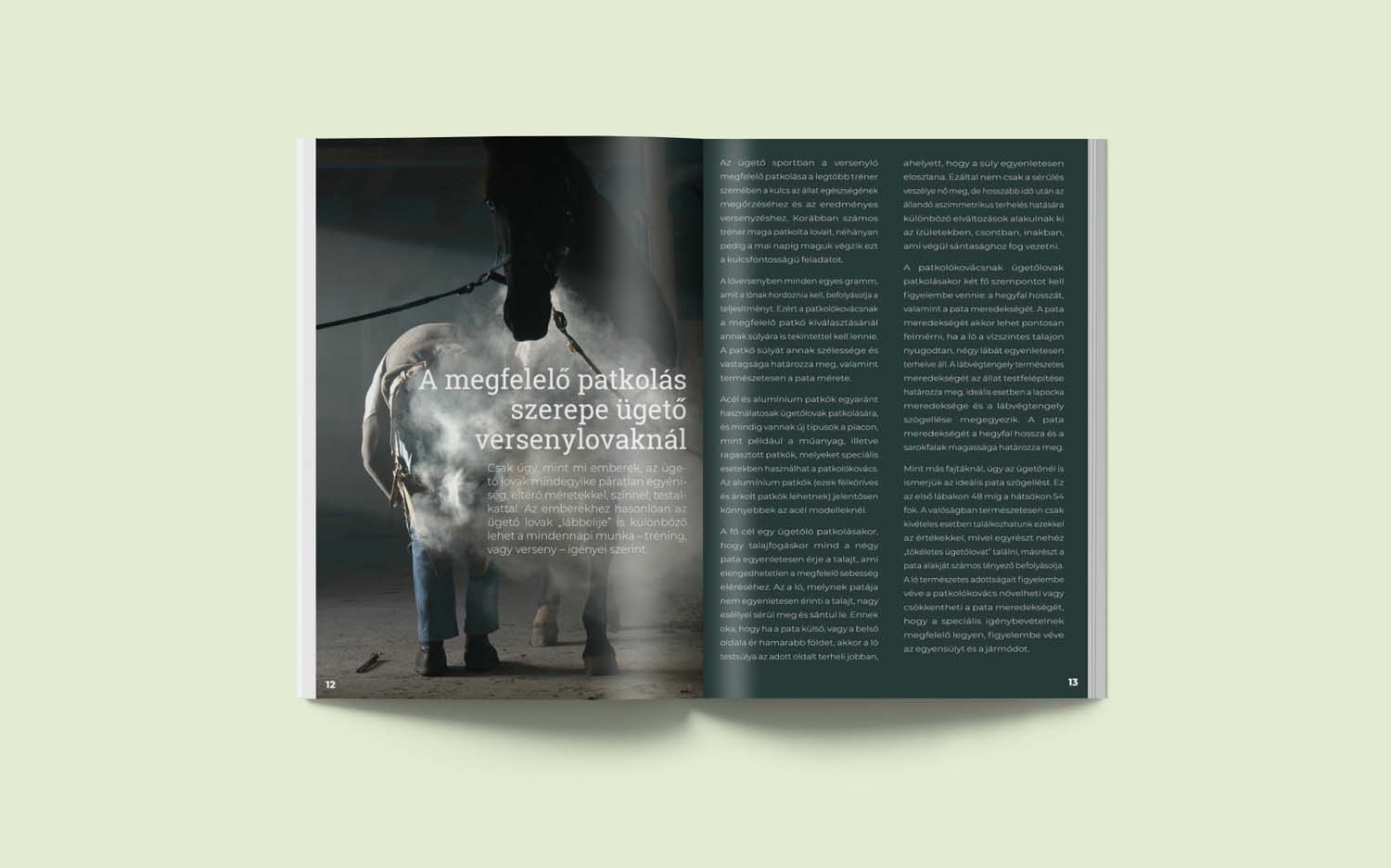 Fábián Lilla grafikus képzés végén leadott portfólió 