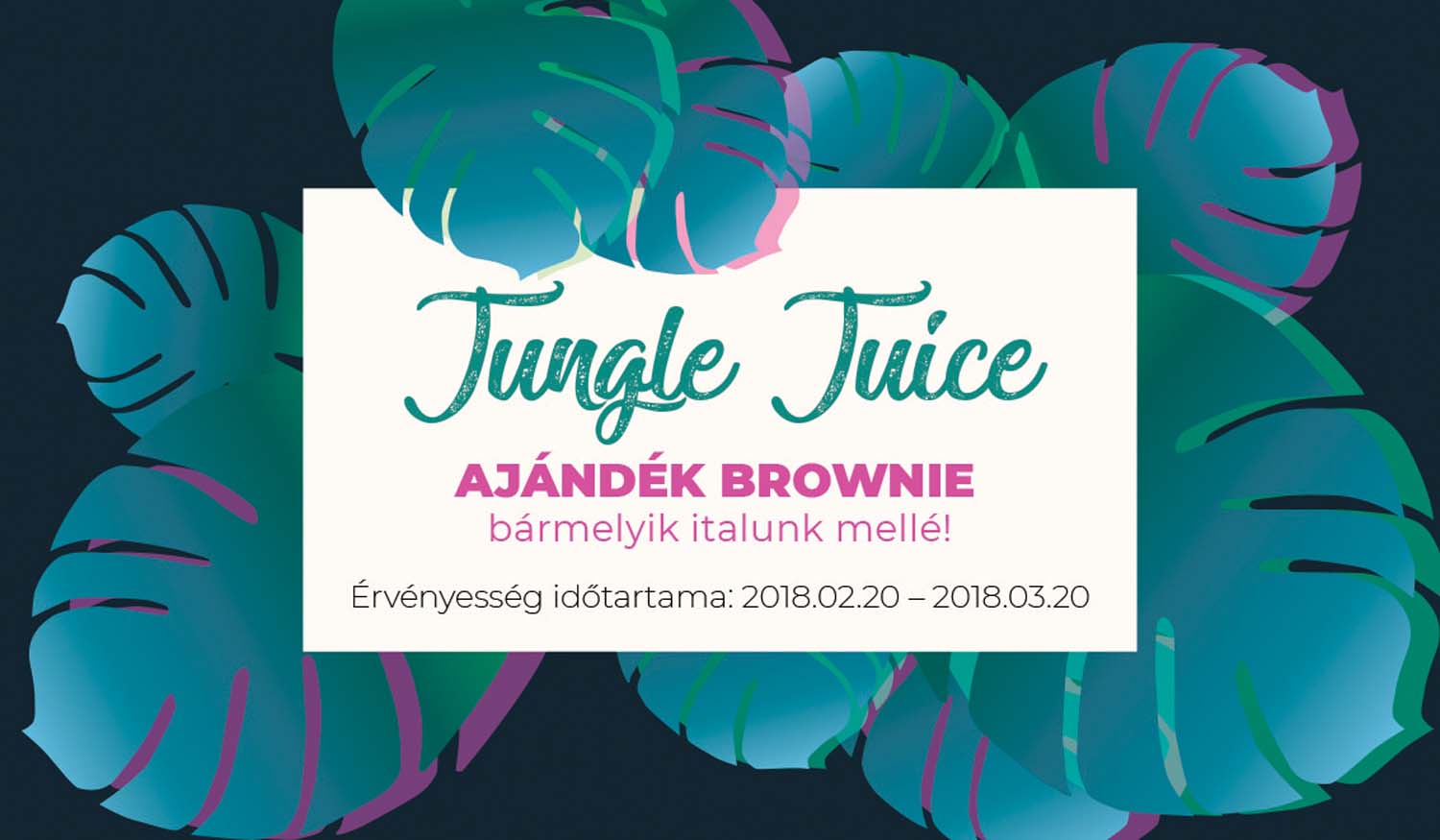 Fábián Lilla grafikus képzés végén leadott portfólió 