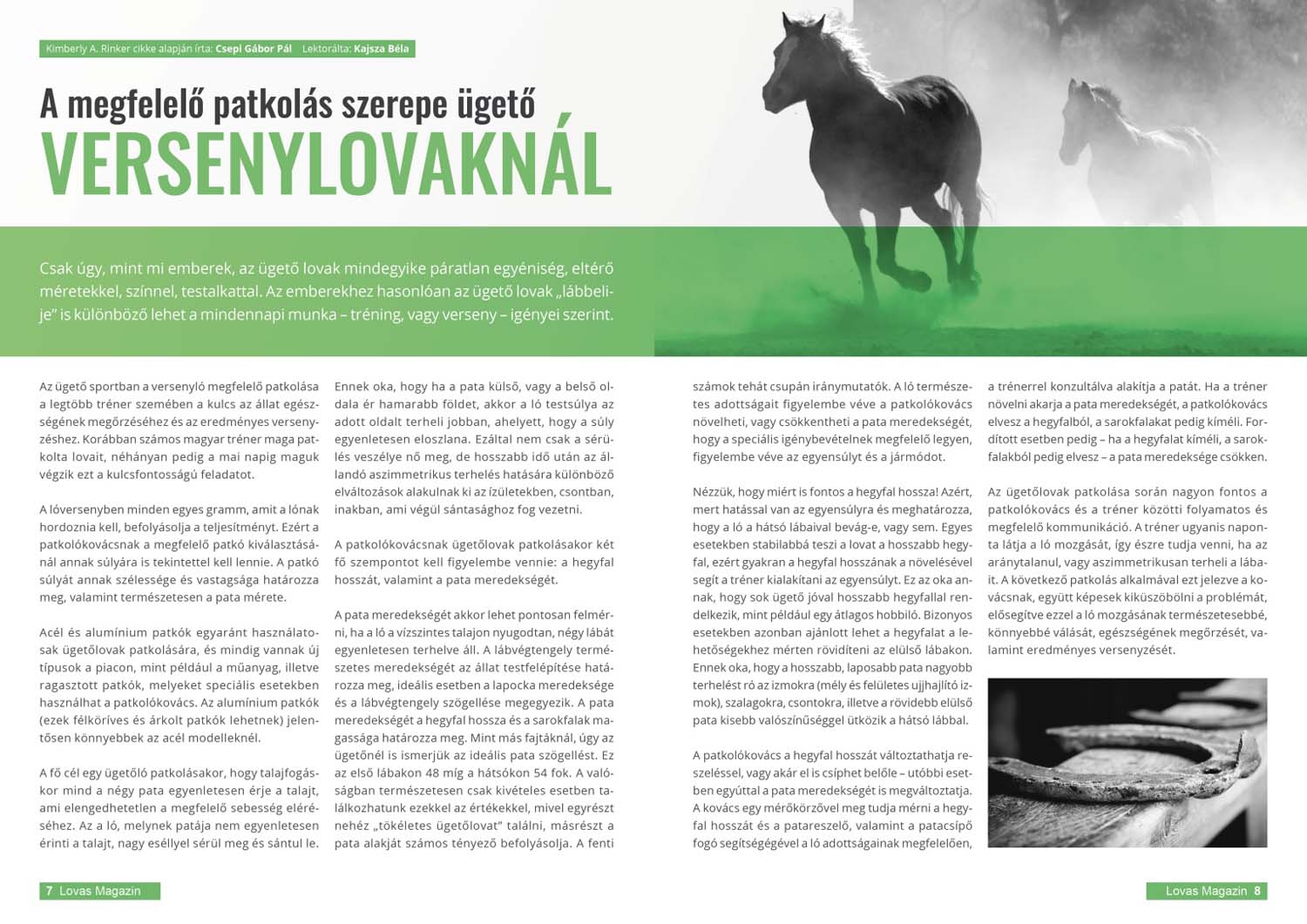 Szabó Bernadett grafikus képzés végén leadott portfólió 