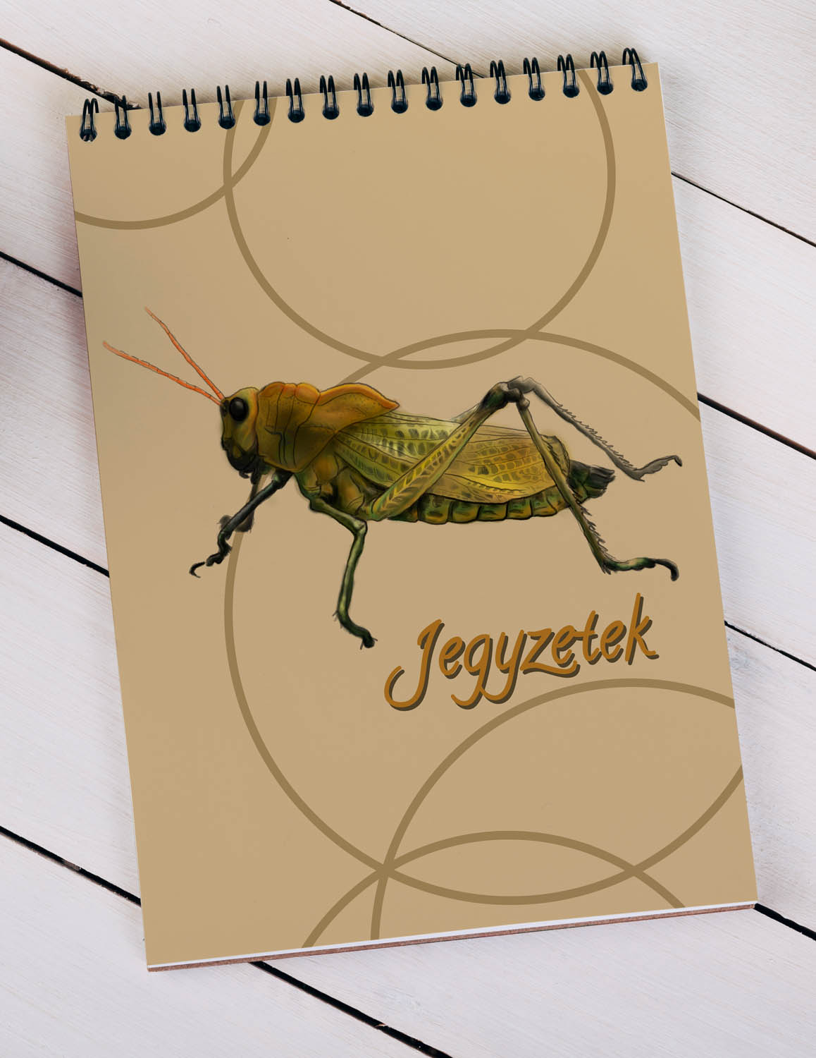 Bakonyi Tímea grafikus képzés végén leadott portfólió 