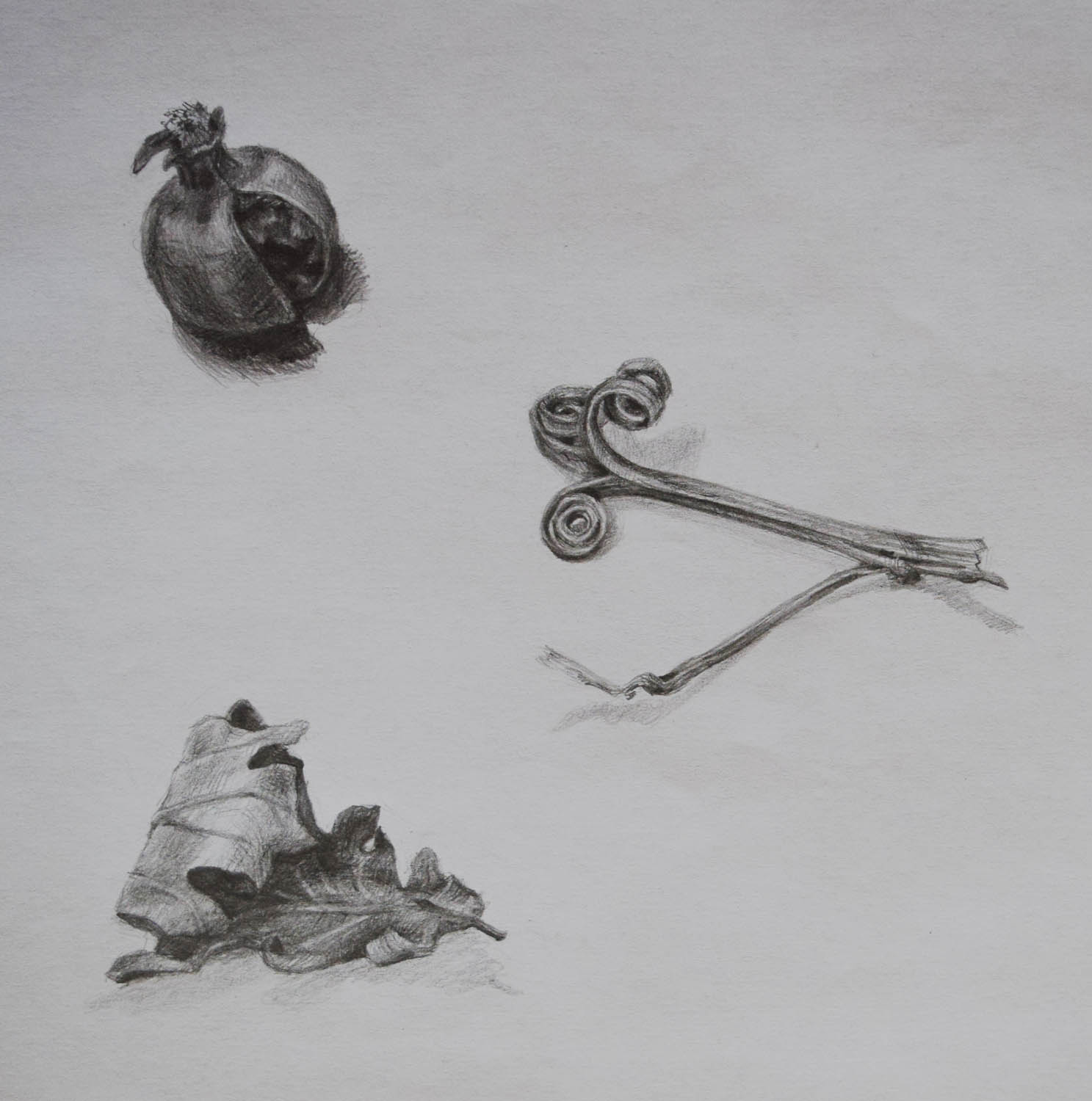 Bakonyi Tímea grafikus képzés végén leadott portfólió 