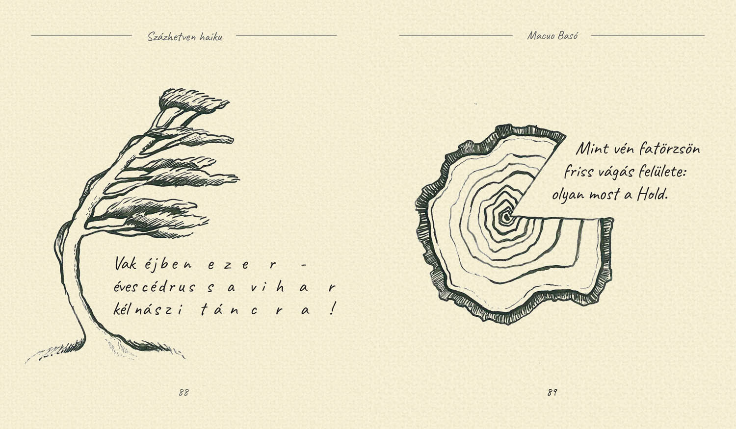 Bakonyi Tímea grafikus képzés végén leadott portfólió 