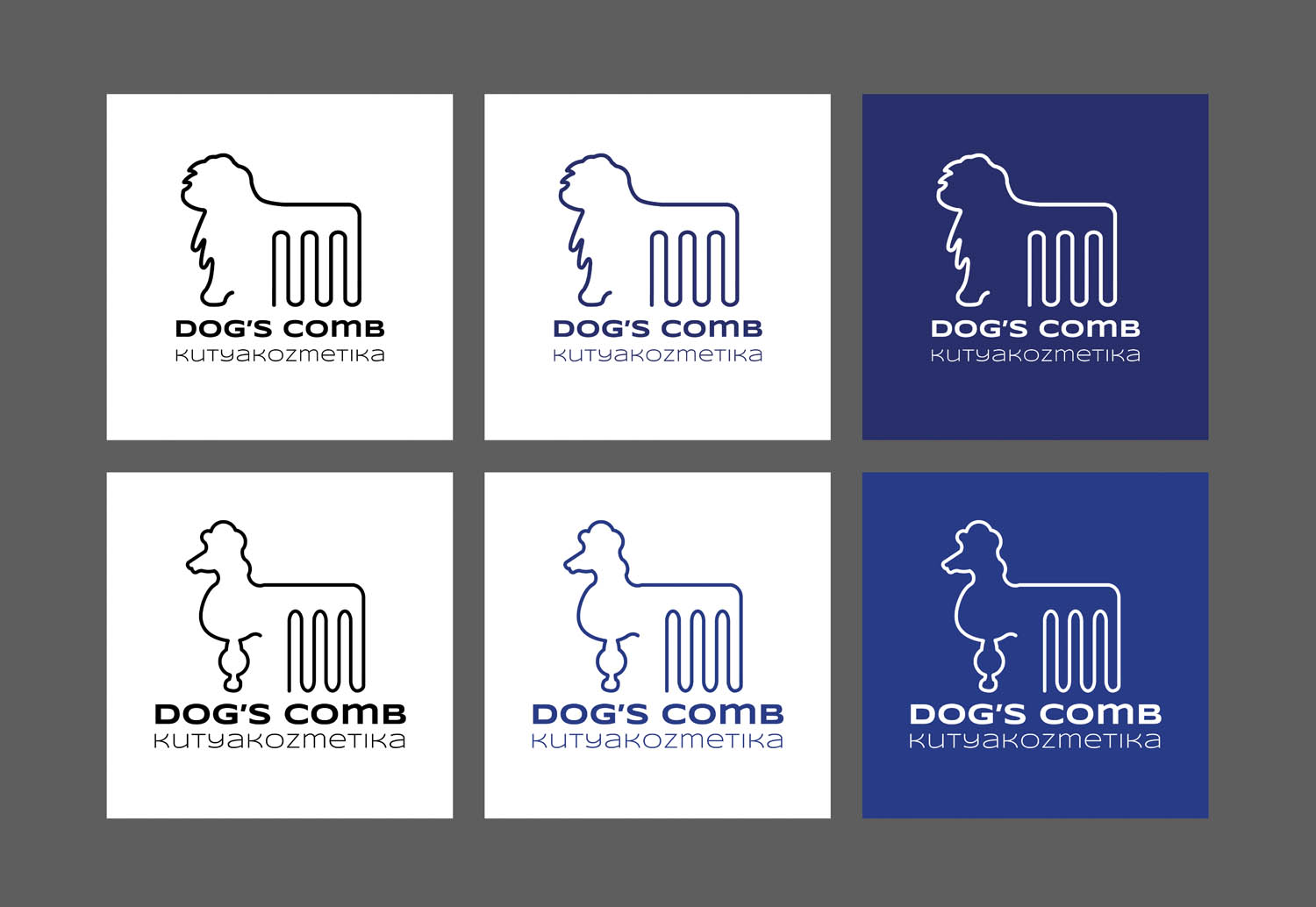 Bakonyi Tímea grafikus képzés végén leadott portfólió 