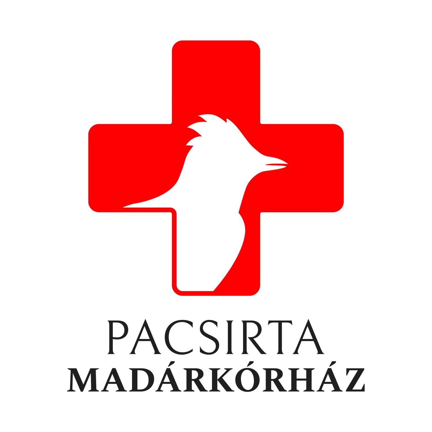 Horváth András grafikus képzés végén leadott portfólió 