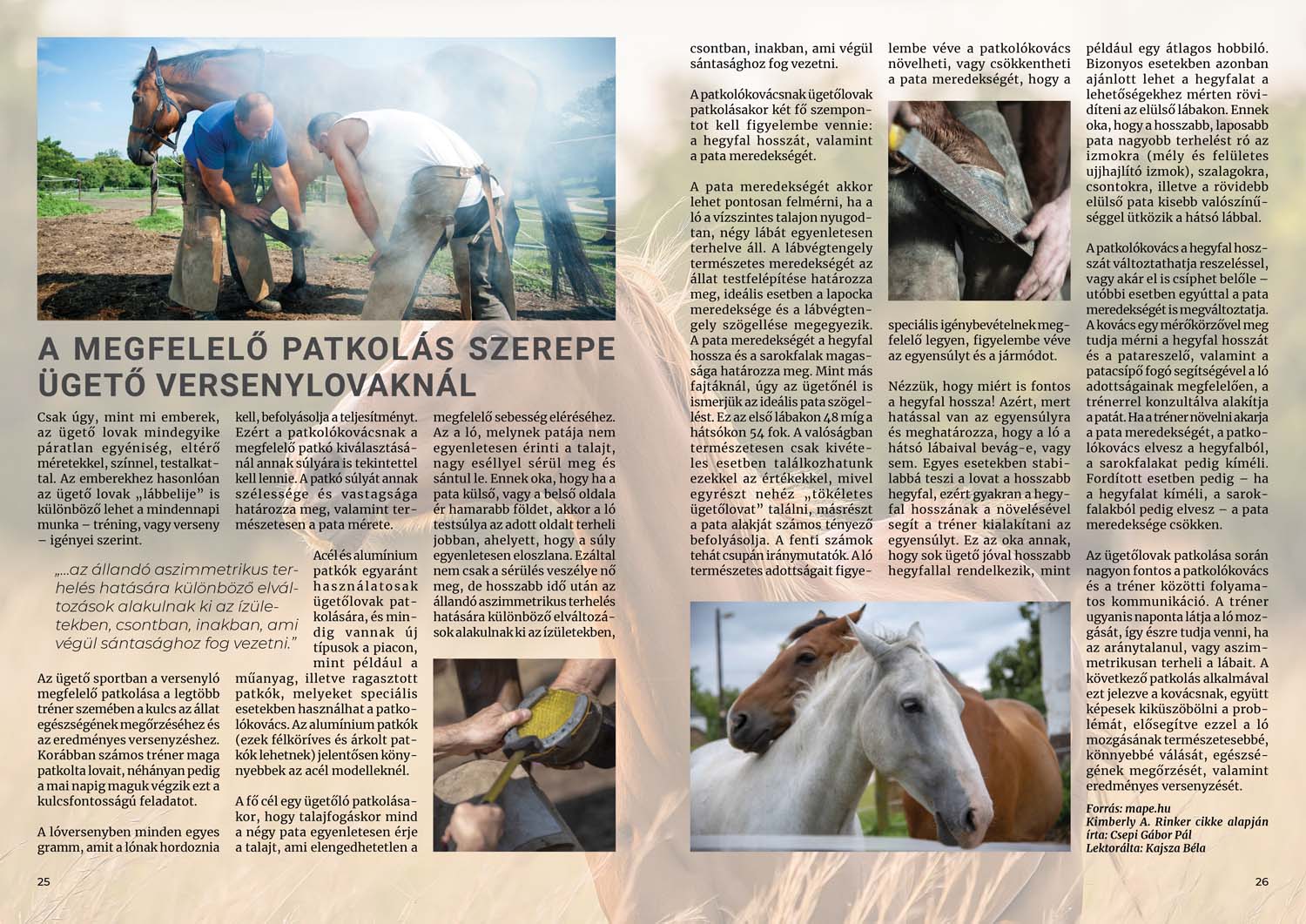 Horváth András grafikus képzés végén leadott portfólió 