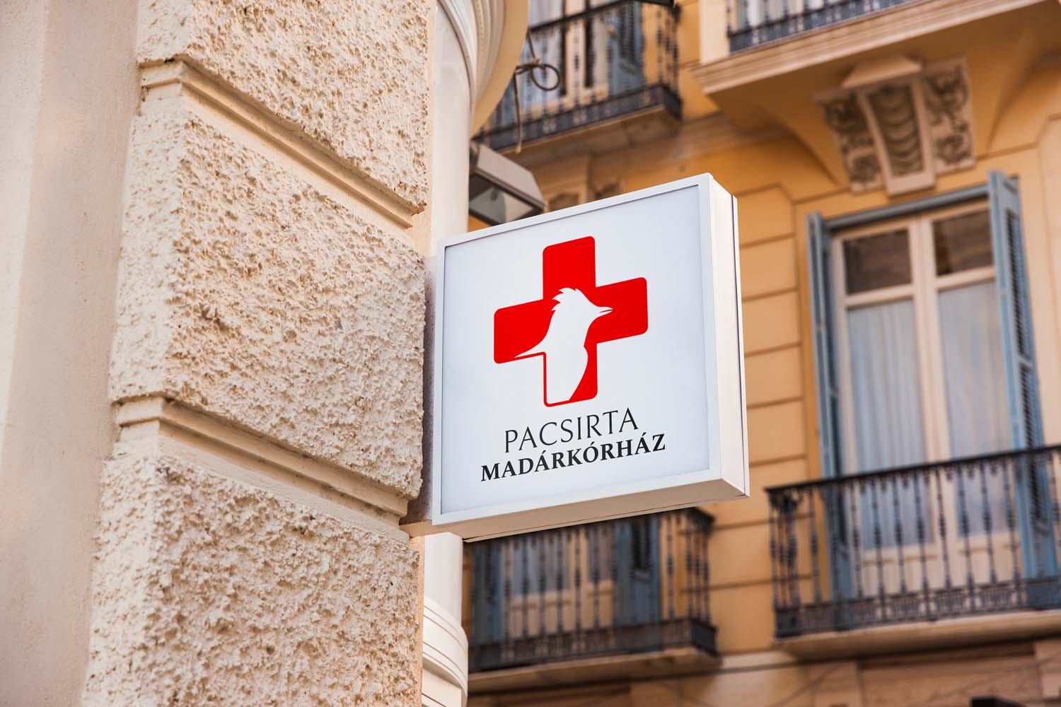 Horváth András grafikus képzés végén leadott portfólió 