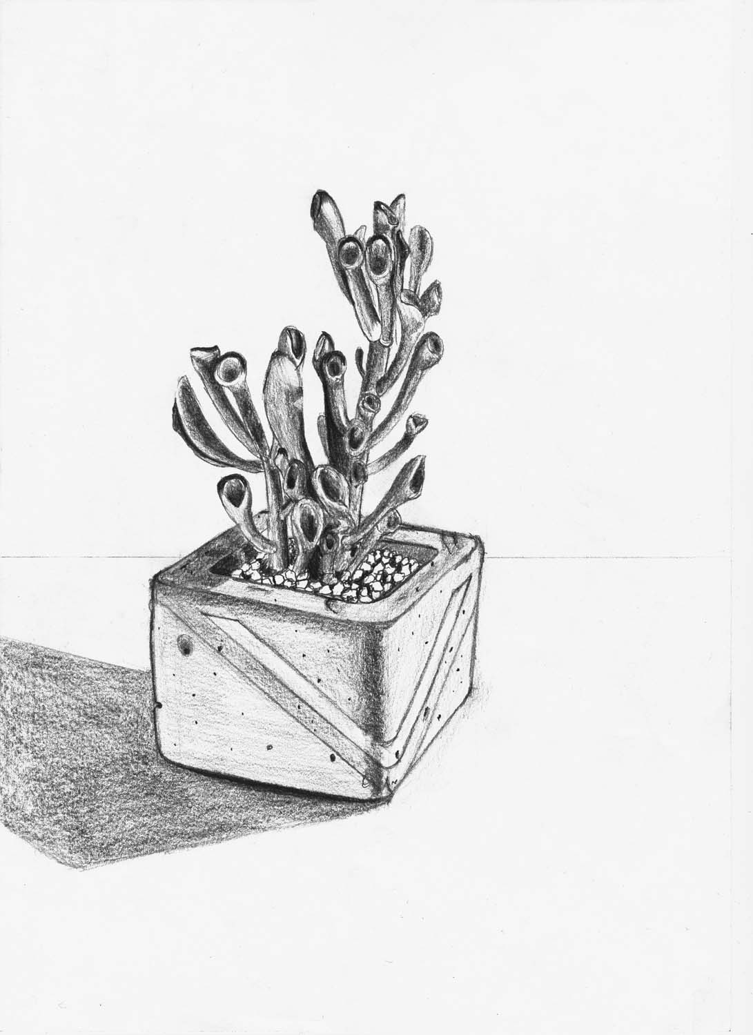 Kapitány Dorottya grafikus képzés végén leadott portfólió 