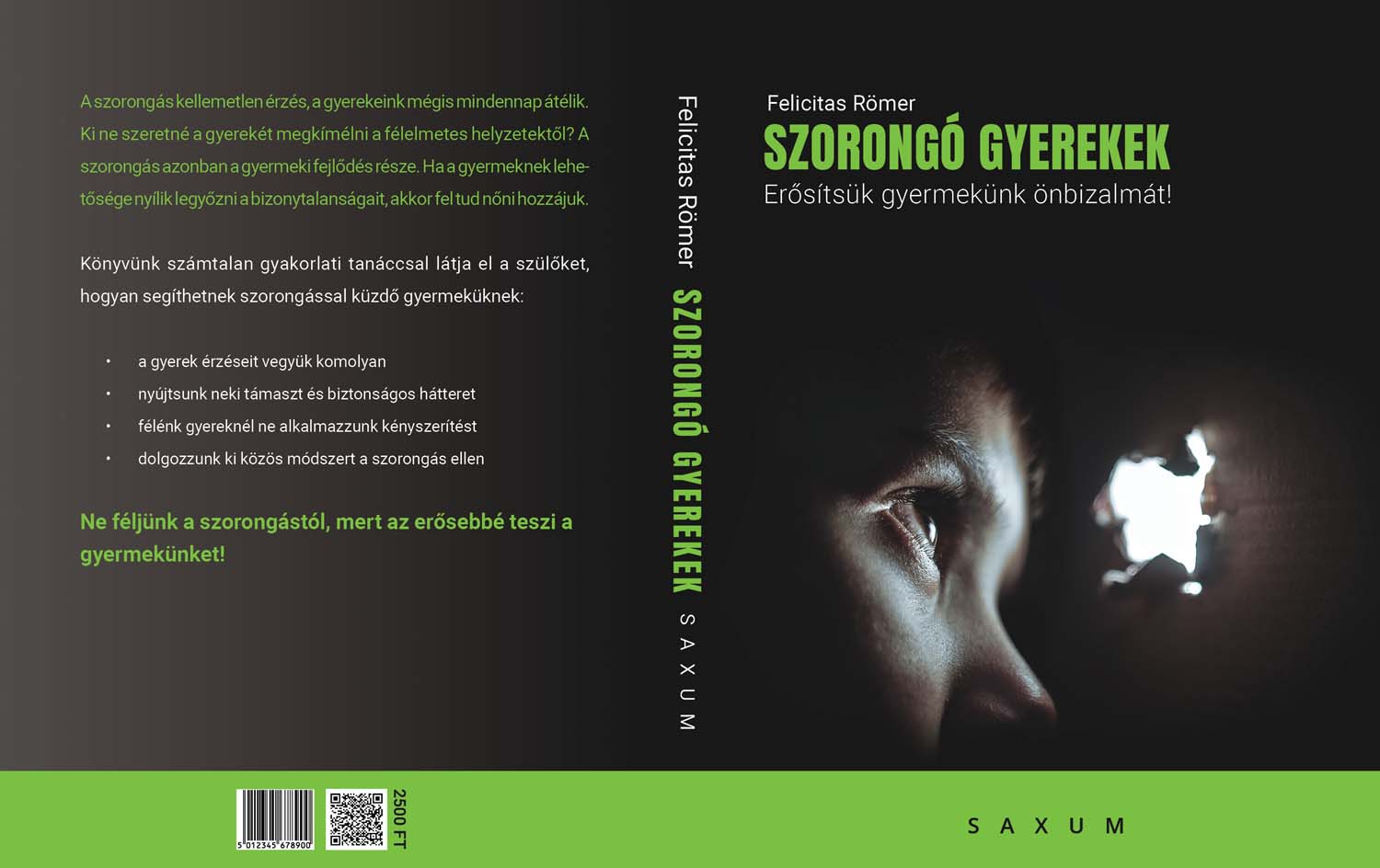 Kapitány Dorottya grafikus képzés végén leadott portfólió 