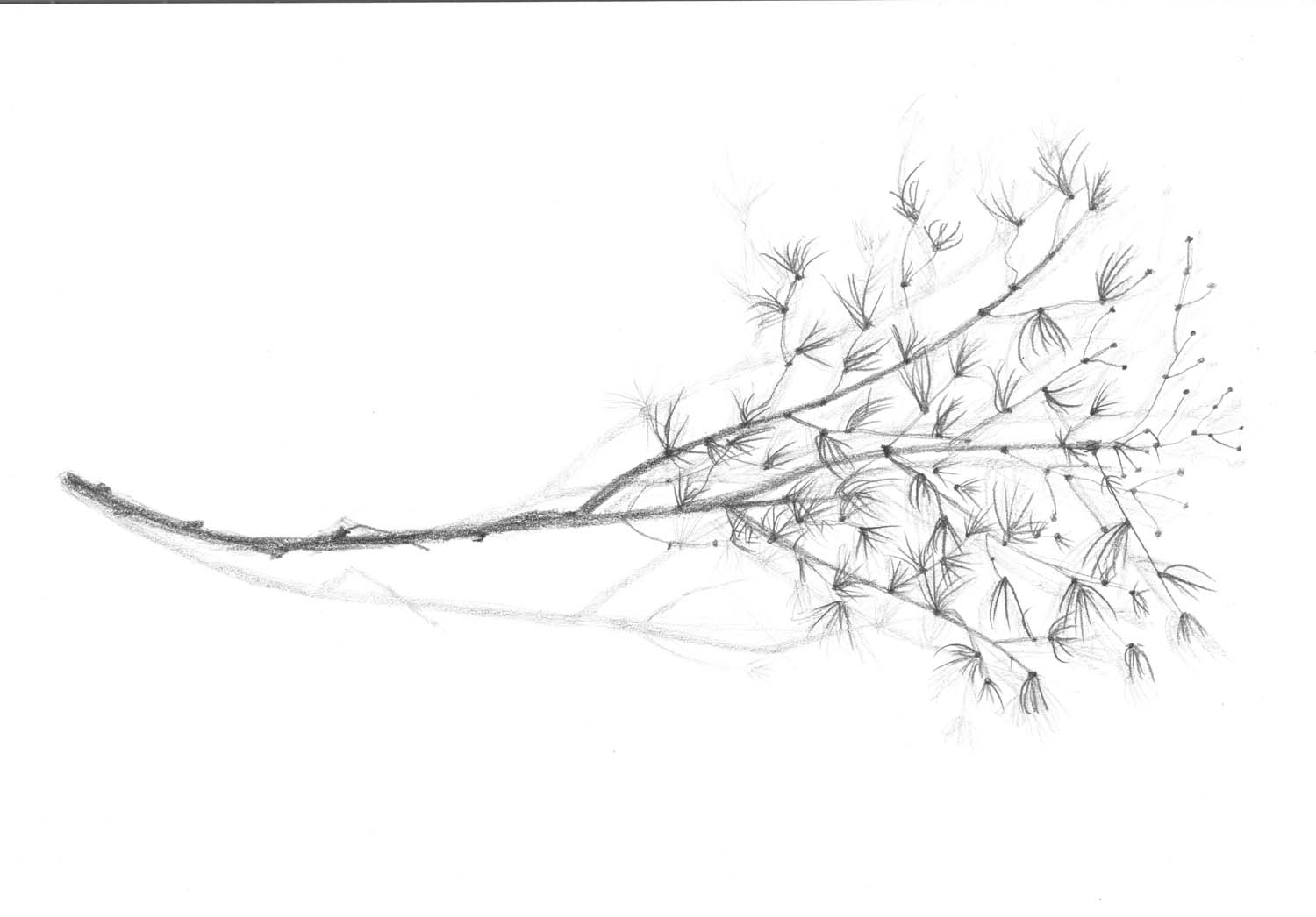 Német Lilla grafikus képzés végén leadott portfólió 