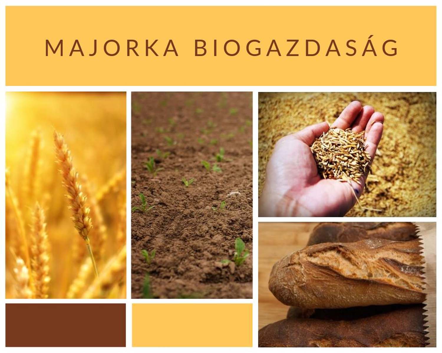 Német Lilla grafikus képzés végén leadott vizsgaremek 