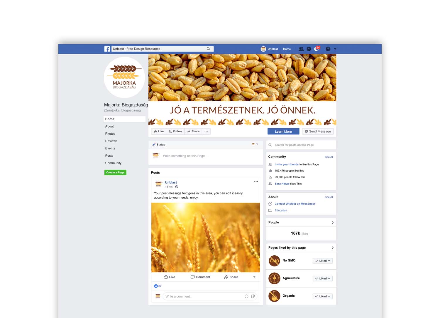 Német Lilla grafikus képzés végén leadott vizsgaremek 