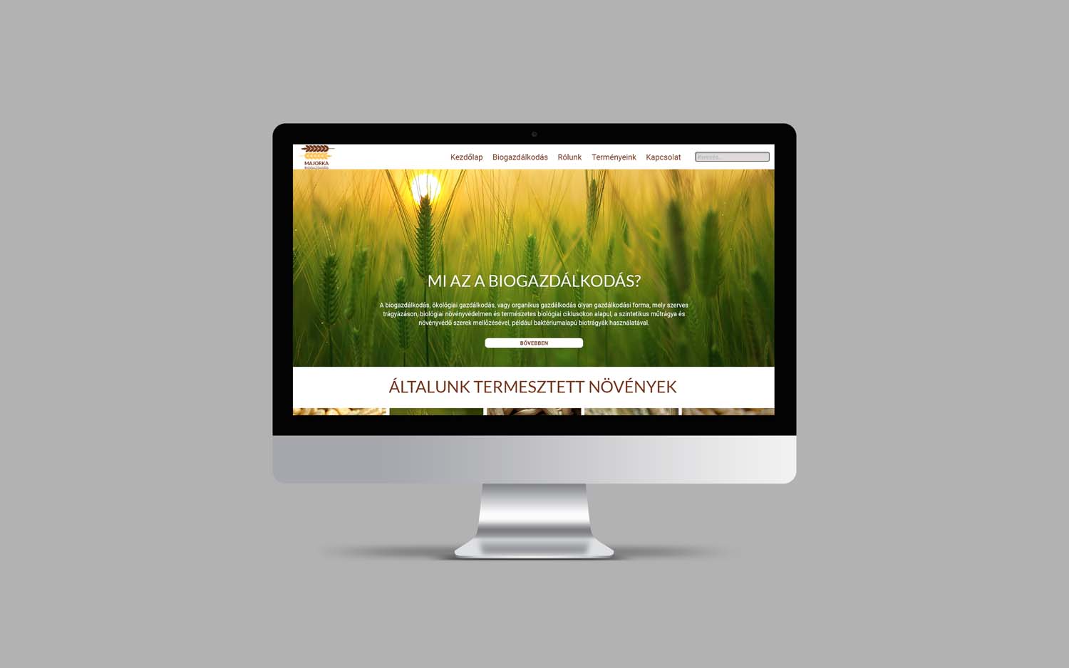 Német Lilla grafikus képzés végén leadott vizsgaremek 