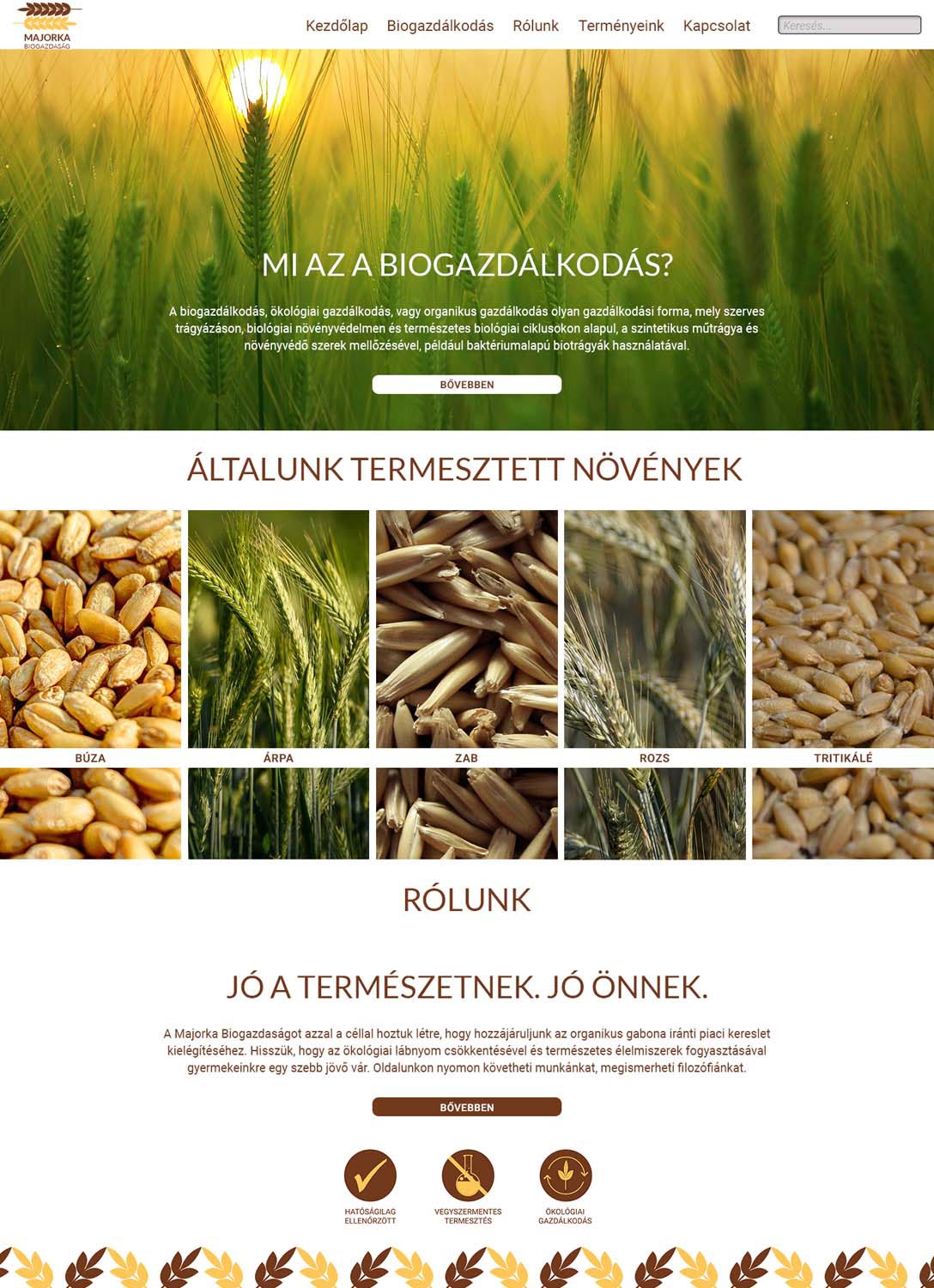 Német Lilla grafikus képzés végén leadott vizsgaremek 