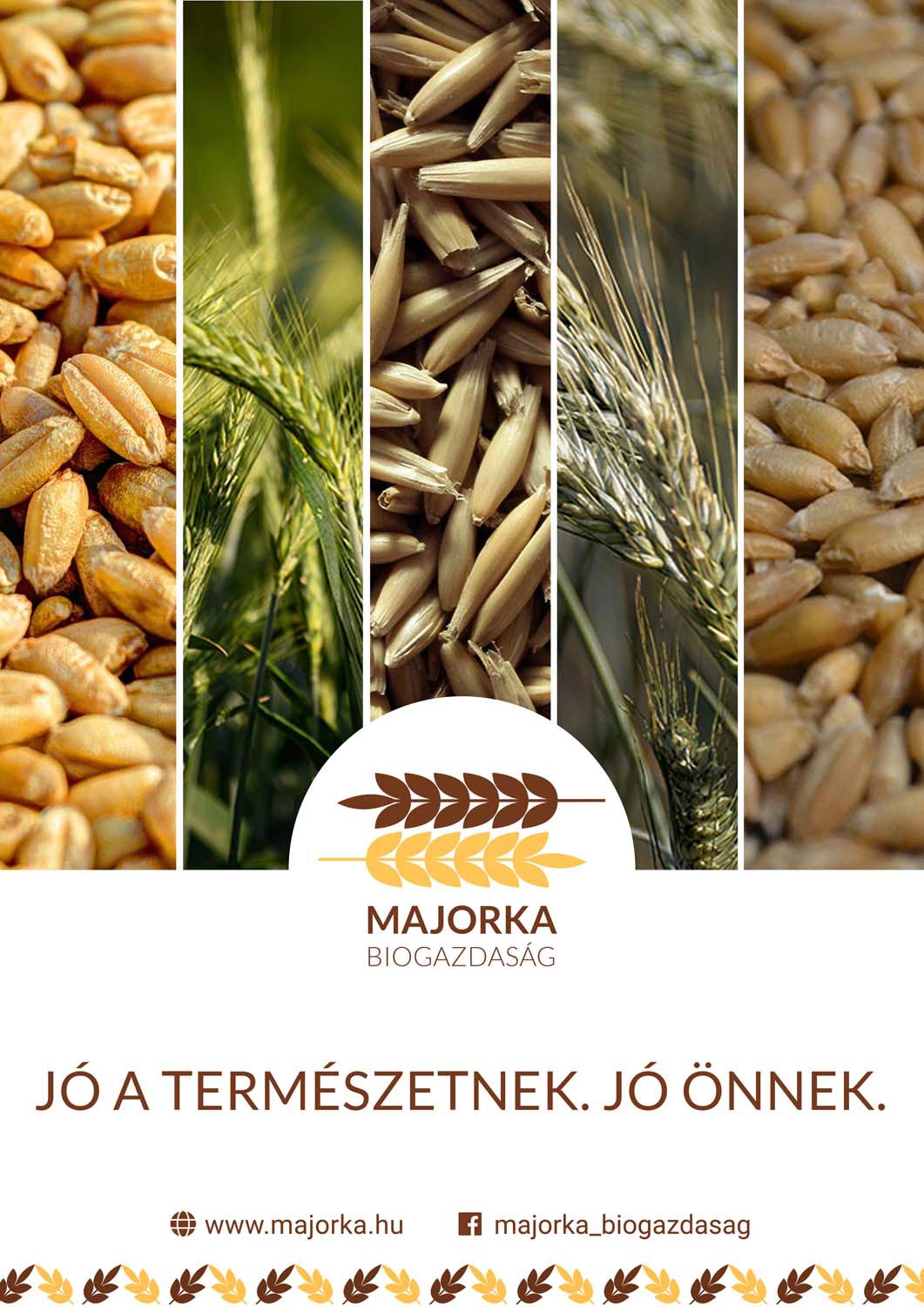 Német Lilla grafikus képzés végén leadott vizsgaremek 